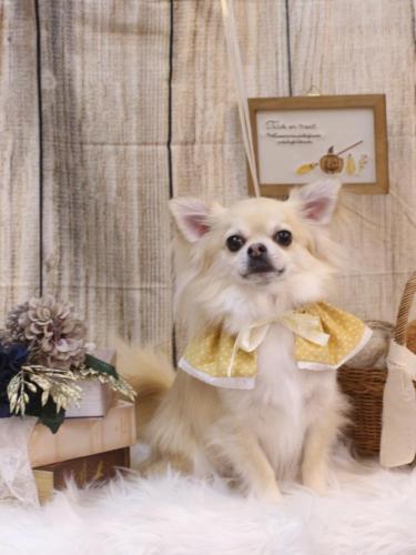 20241012とわくん